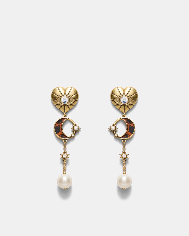 Emotional Drop Earrings