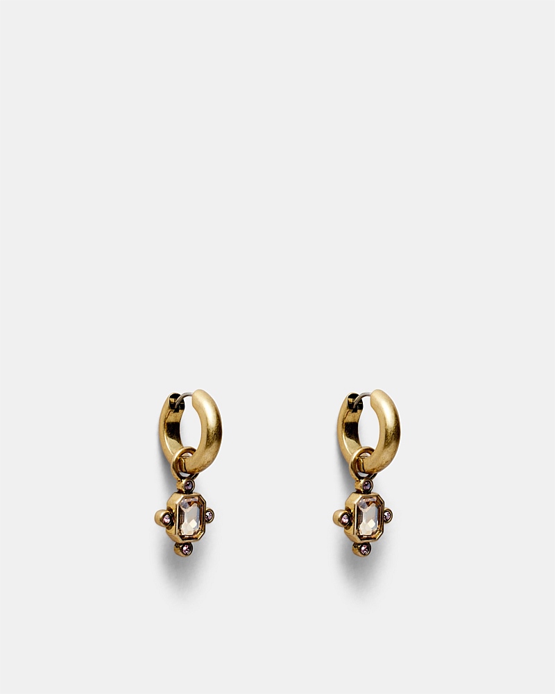 Demeanour Huggie Hoop Earrings