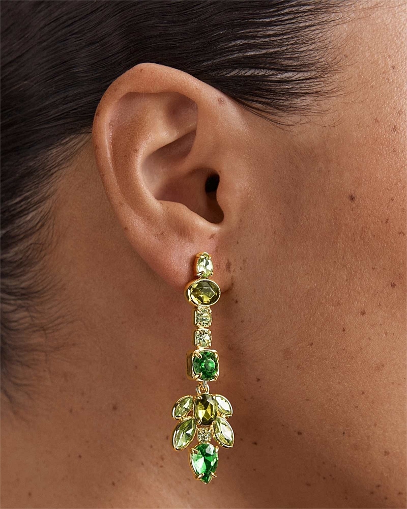 Alluring Drop Earrings