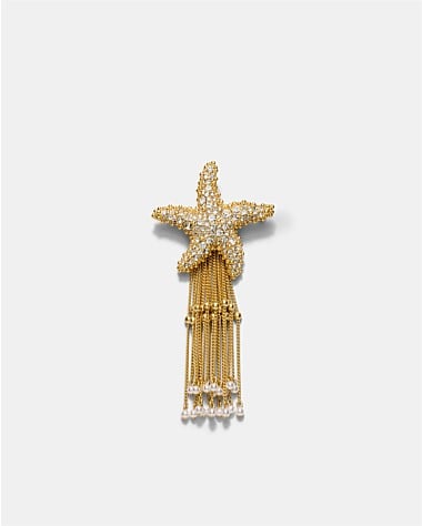 Starfish Brooch