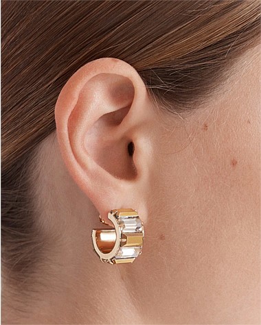 Descent Hoop Earrings