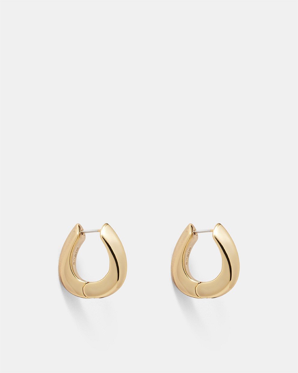 Cool Cat Hoop Earrings