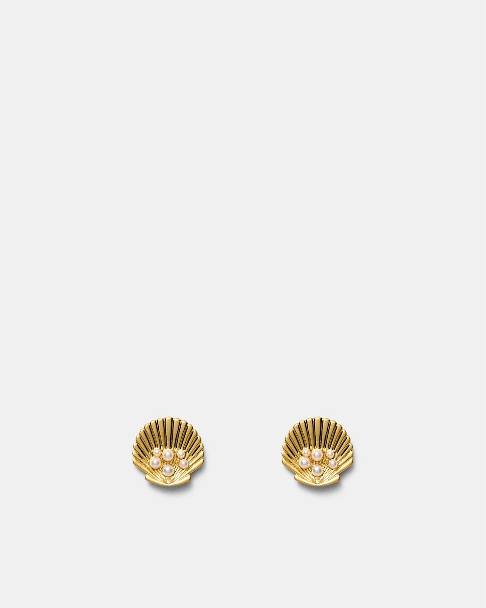 Shell Stud Earrings
