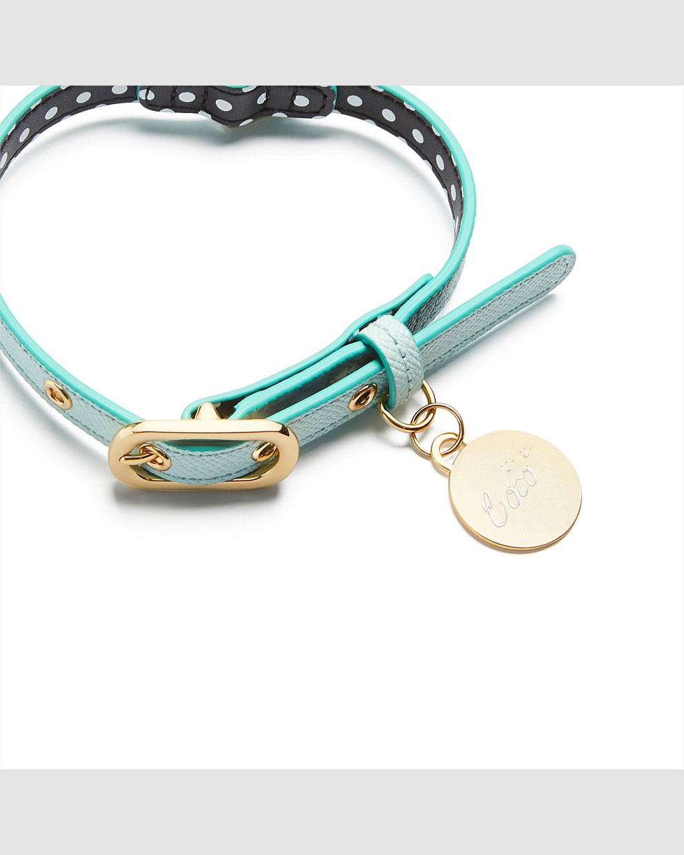 WILD THING SMALL DOG COLLAR