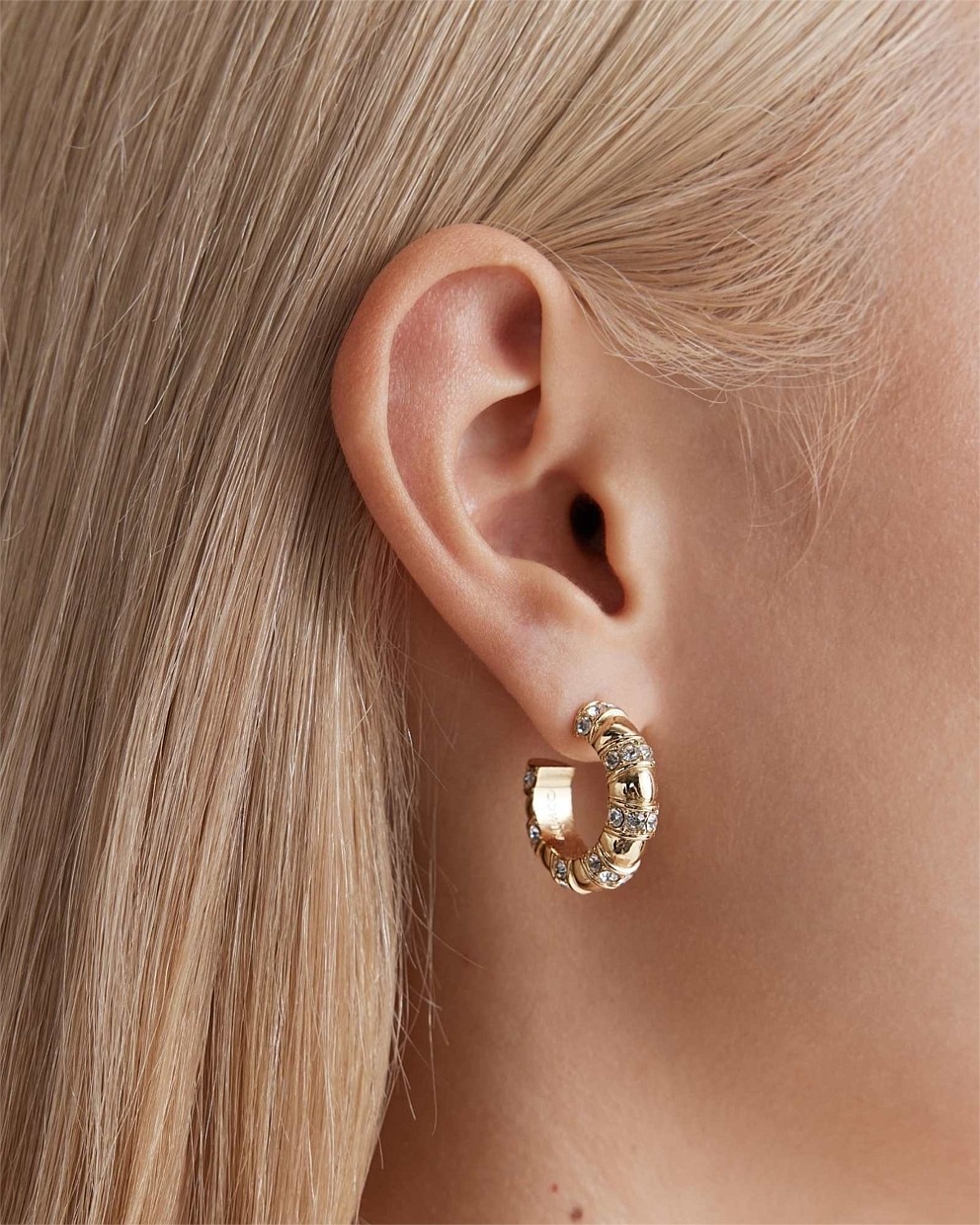 Everly Hoop Earrings