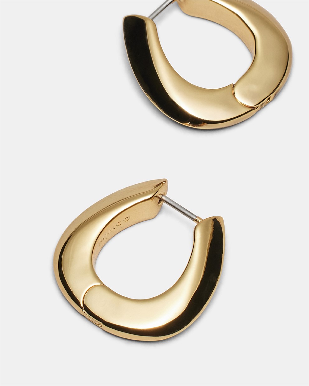 Cool Cat Hoop Earrings