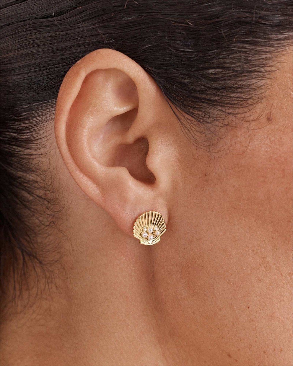 Shell Stud Earrings