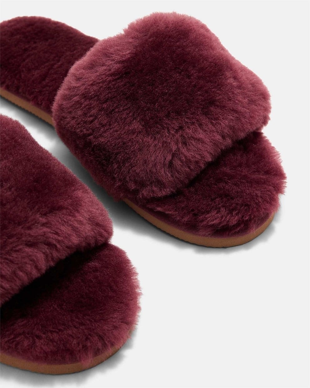 Chronicle Slippers
