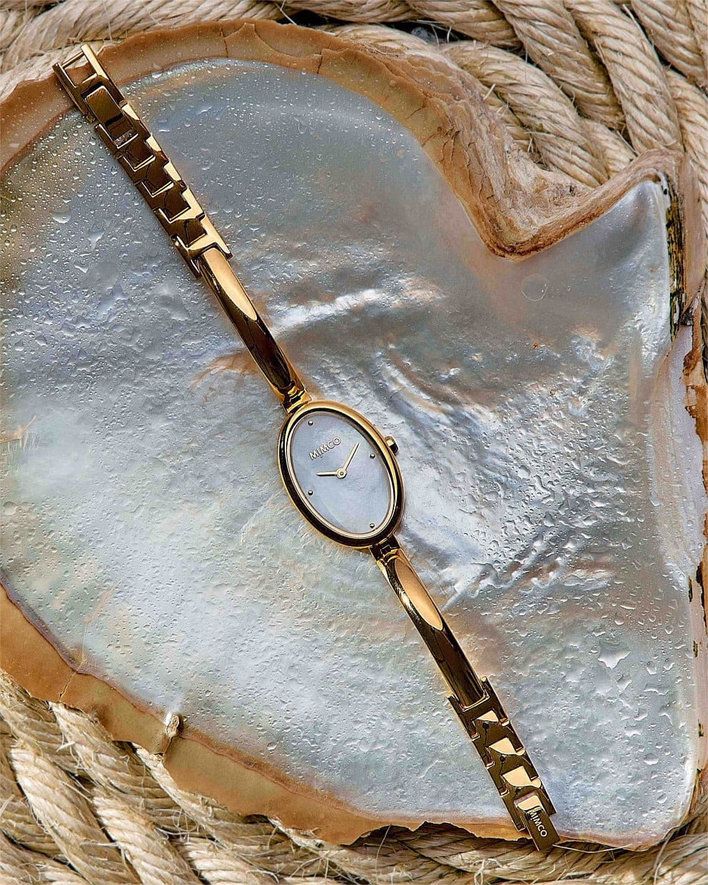 Halcyon Watch
